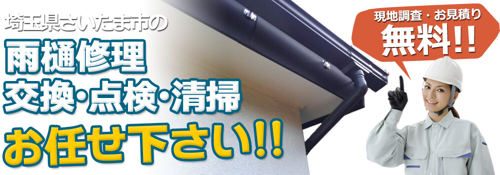 埼玉県さいたま市の雨樋修理・交換・点検・清掃お任せ下さい