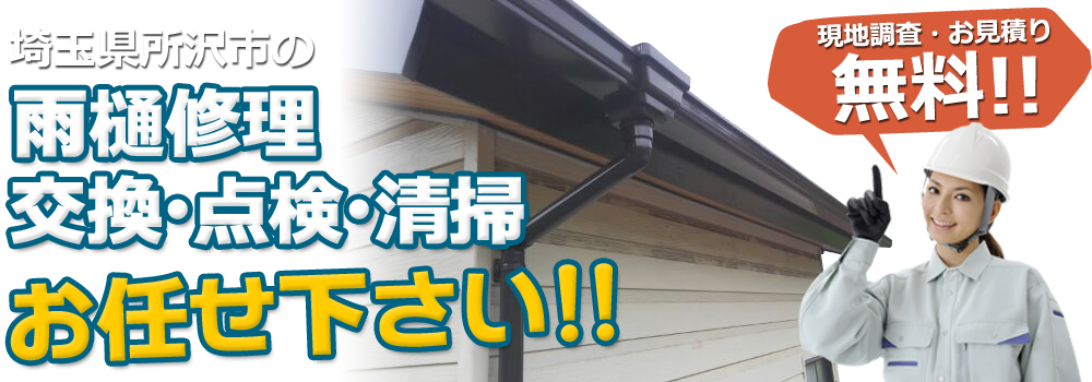 埼玉県所沢市の雨樋修理・交換・点検・清掃お任せ下さい