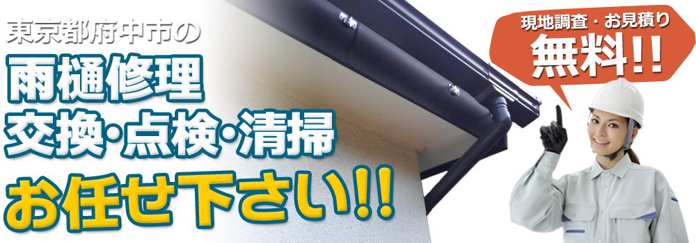東京都府中市の雨樋修理・交換・点検・清掃お任せ下さい