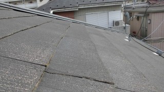 CIMG0684 (4)